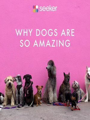 cover image of Why Dogs Are So Amazing